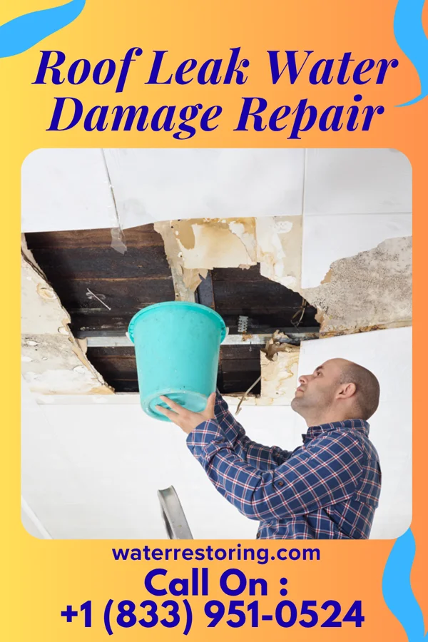 Roof Leak Water Damage Repair in Hazel Park, MI
