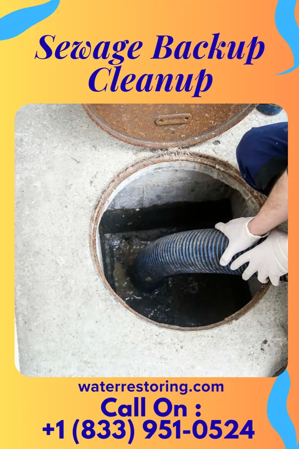 Sewage Backup Cleanup in Hazel Park, MI